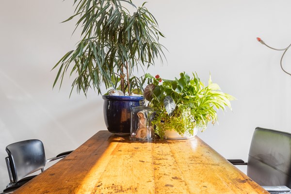 Medium property photo - Bilderdijkstraat 29, 3314 RB Dordrecht